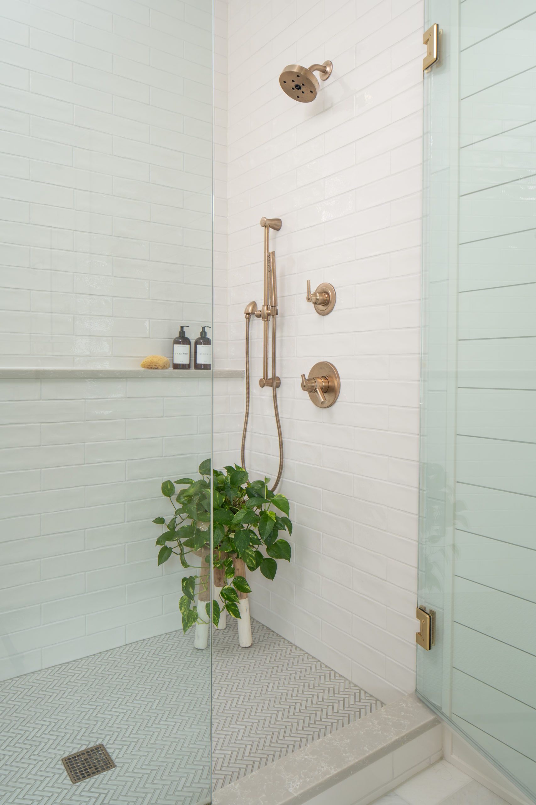 A bathroom with a glass shower stall and a plant.
