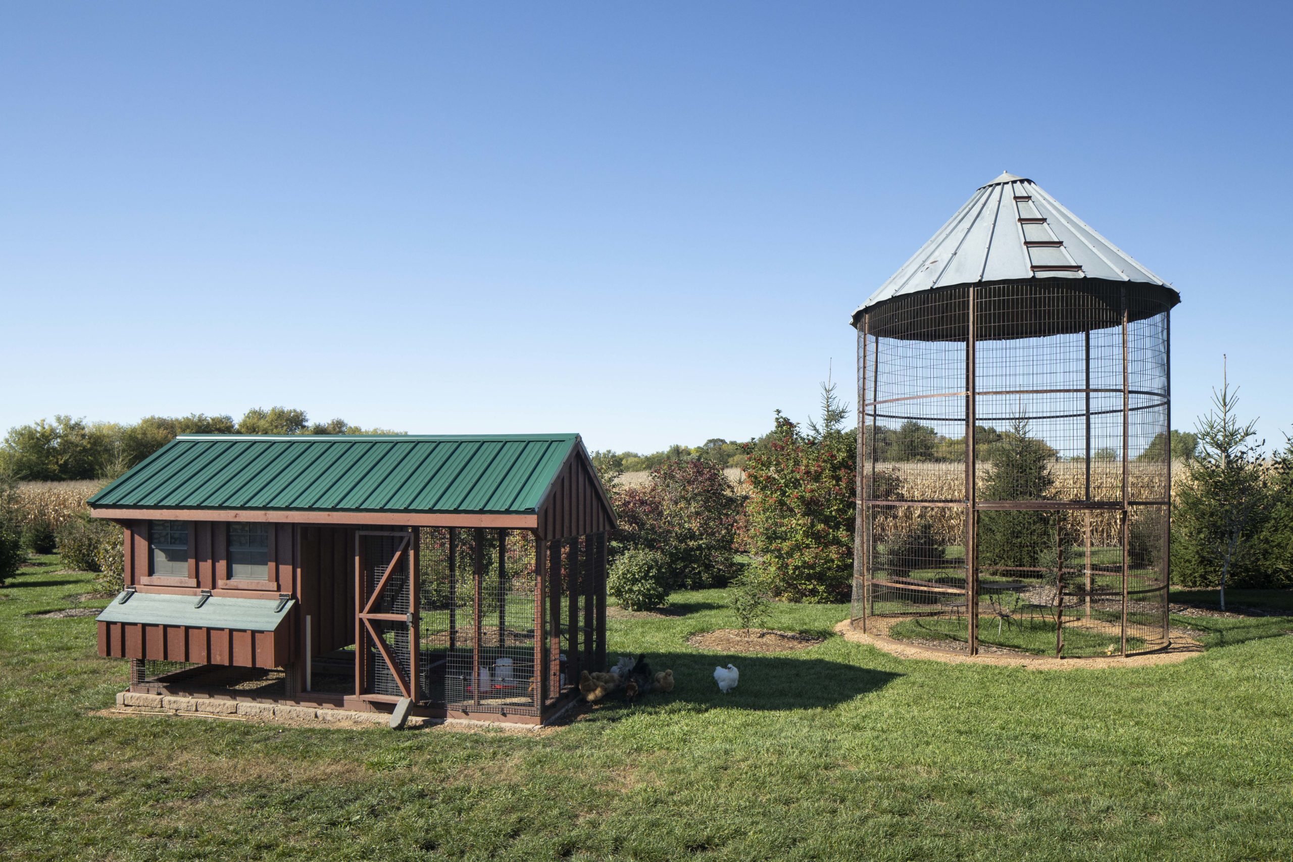 A custom chicken coop situated in the middle of a prairie field, with a unique water tower as its centerpiece.