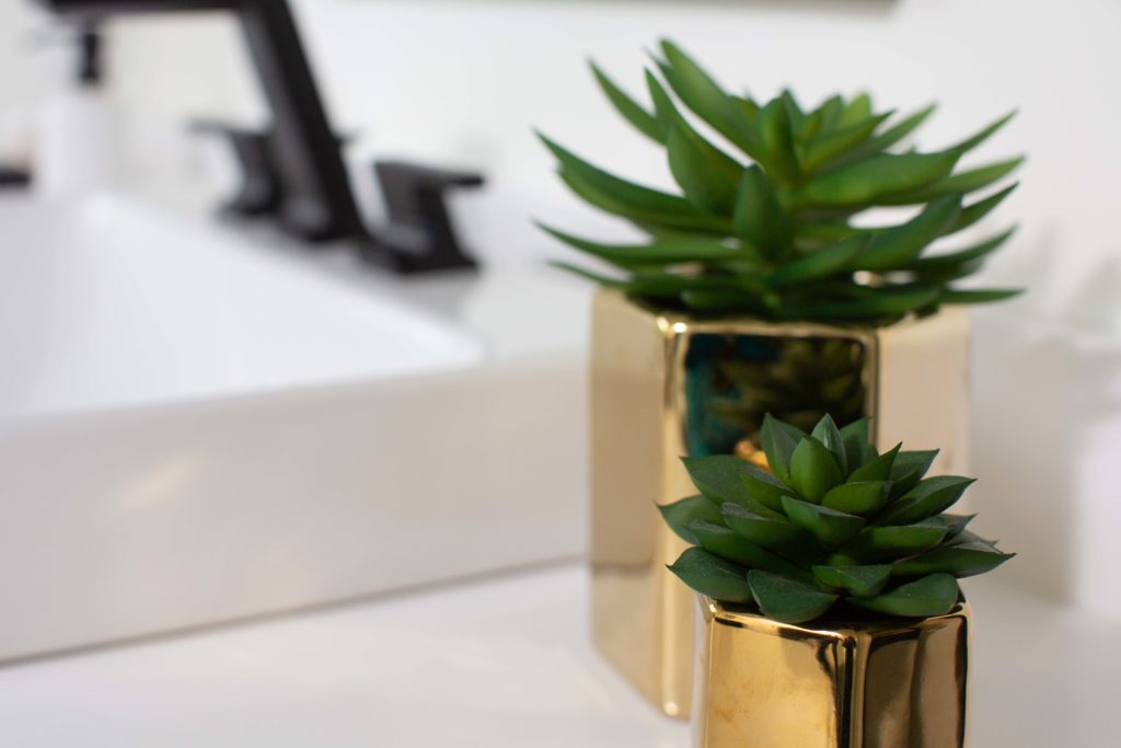 Two modern gold vases with succulents on them.